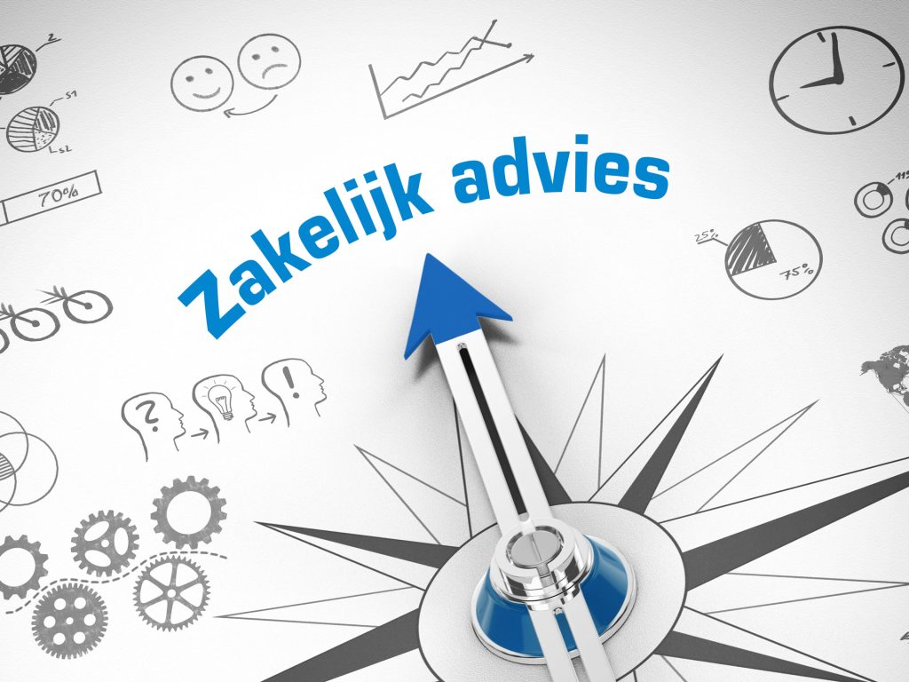 Zakelijk Advies Infographic